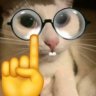 CatVibes