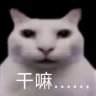 OoowhiteooO