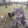 loudfartsoundeffect