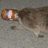 Degen