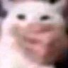 Unknowntoad7