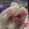 CORLW